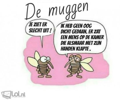 Muggen